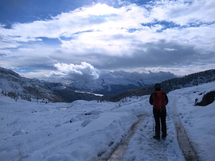 Foto: Andreas Koller / Wandertour / Monte Pradazzo - Allwettertour über dem Passo Valles (2281m) / 06.12.2023 01:29:31