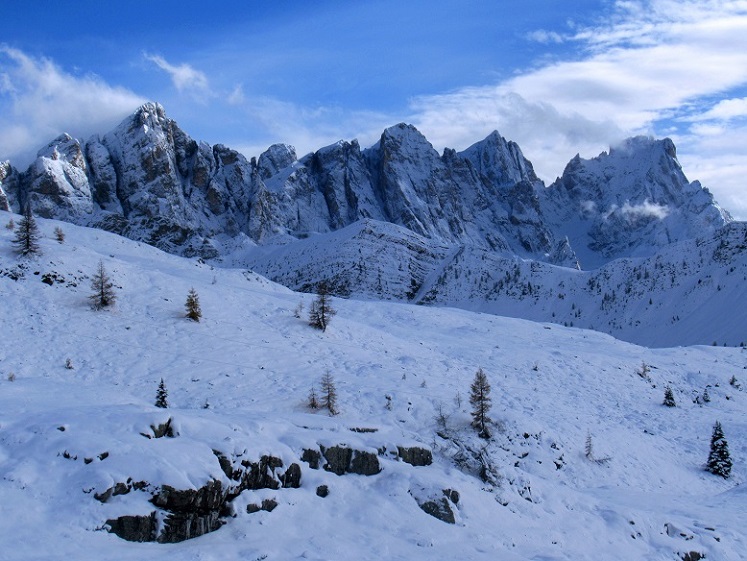Foto: Andreas Koller / Wandertour / Monte Pradazzo - Allwettertour über dem Passo Valles (2281m) / Pala knapp vor dem Erreichen des Passo Valles / 06.12.2023 01:29:25