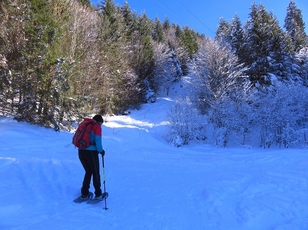 Foto: Andreas Koller / Skitour / Einsteigertour Rauhkopf (1691m) / Aufstieg zum Rauhkopf / 01.02.2024 01:46:15