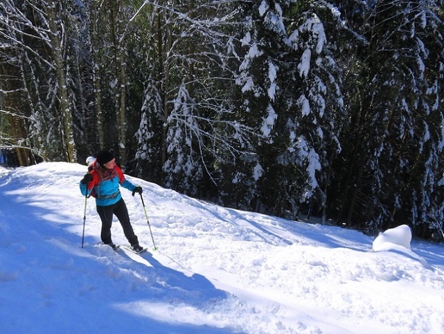 Foto: Andreas Koller / Skitour / Einsteigertour Rauhkopf (1691m) / 01.02.2024 01:46:01