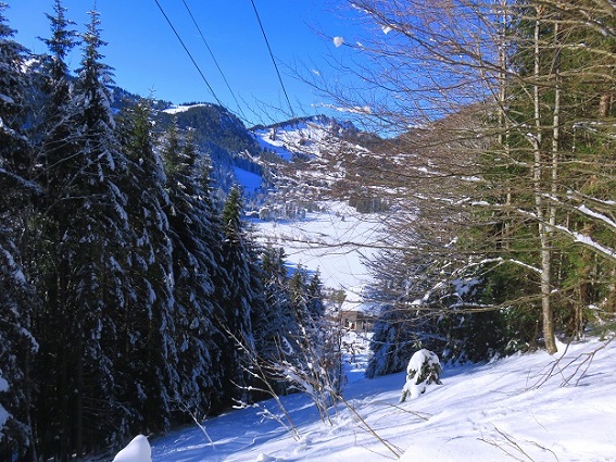 Foto: Andreas Koller / Skitour / Einsteigertour Rauhkopf (1691m) / 01.02.2024 01:45:56
