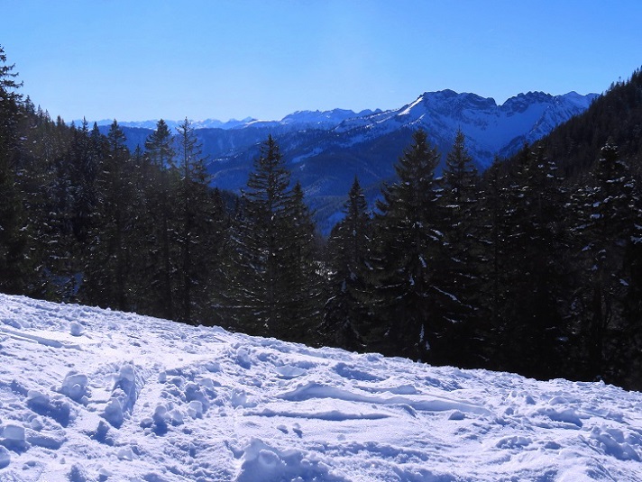 Foto: Andreas Koller / Skitour / Einsteigertour Rauhkopf (1691m) / 01.02.2024 01:45:02