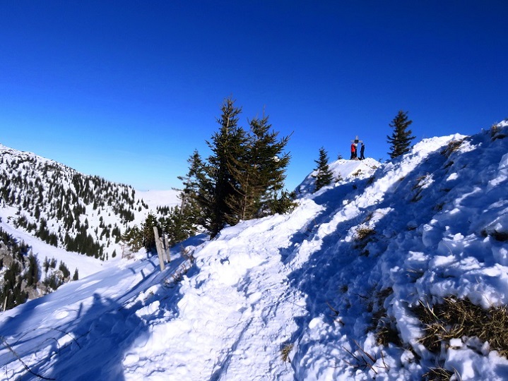 Foto: Andreas Koller / Skitour / Einsteigertour Rauhkopf (1691m) / 01.02.2024 01:40:37