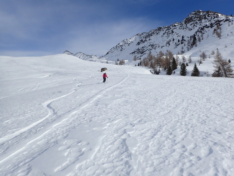 Foto: Manfred Karl / Skitour / Kammwanderung zum Rudlhorn (2448 m) / Flach - aber es geht / 05.03.2024 21:07:08