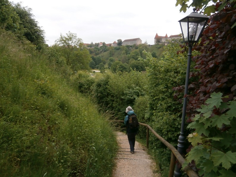 Foto: Manfred Karl / Wandertour / Wöhrsee- und Burgrunde Burghausen / Abstieg zum Wöhrsee / 08.05.2024 07:51:00