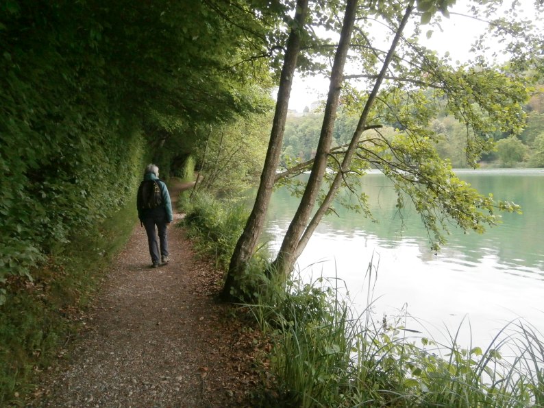 Foto: Manfred Karl / Wandertour / Wöhrsee- und Burgrunde Burghausen / Am Wöhrsee entlang / 08.05.2024 07:50:43