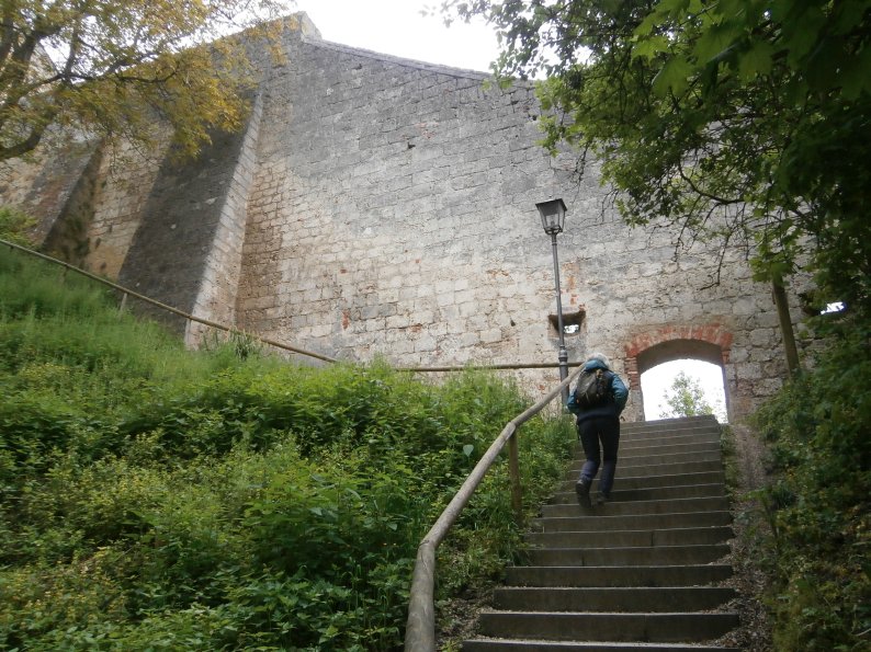 Foto: Manfred Karl / Wandertour / Wöhrsee- und Burgrunde Burghausen / 08.05.2024 07:47:48
