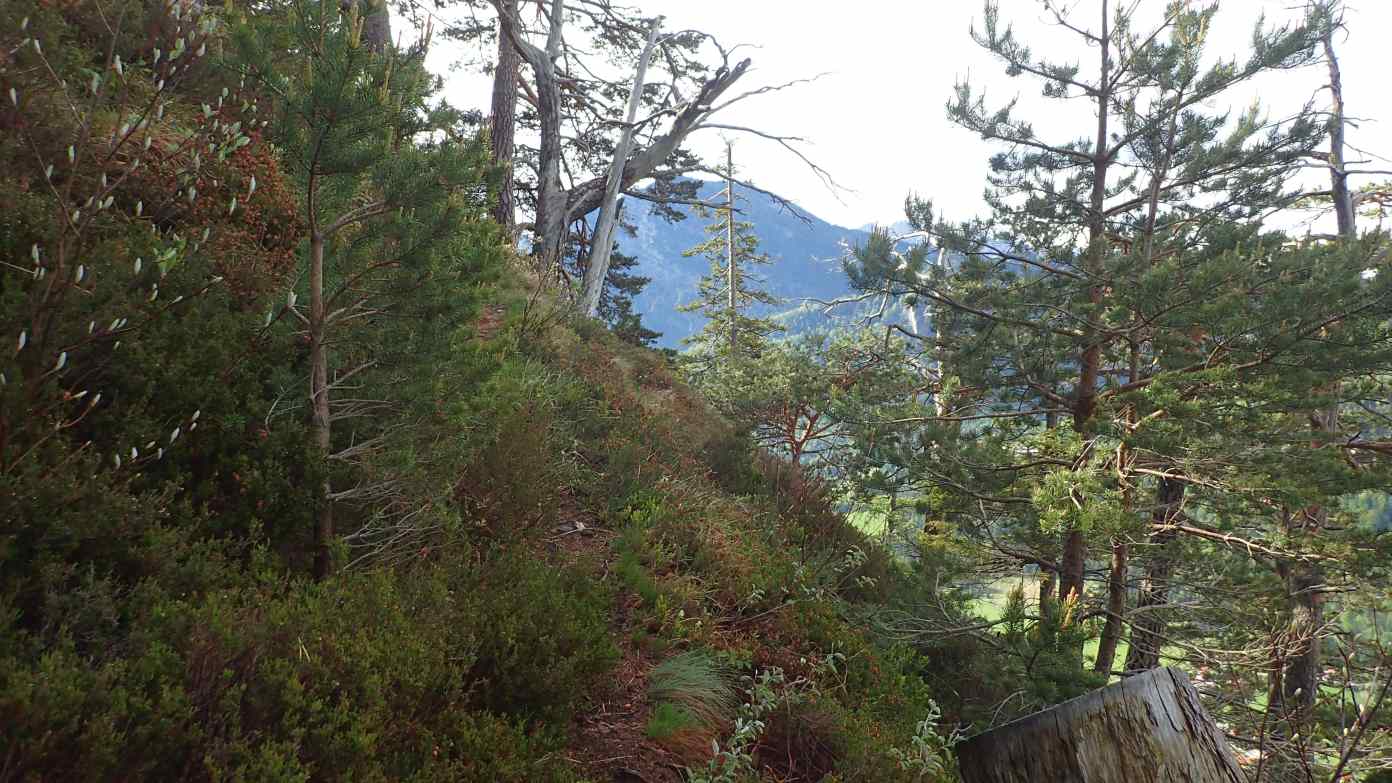 Foto: Manfred Karl / Wandertour / Über die Himmelsleiter auf das Gruberhörndl (1493 m) / Kurz vor der exponierten Passage / 08.05.2024 11:44:39