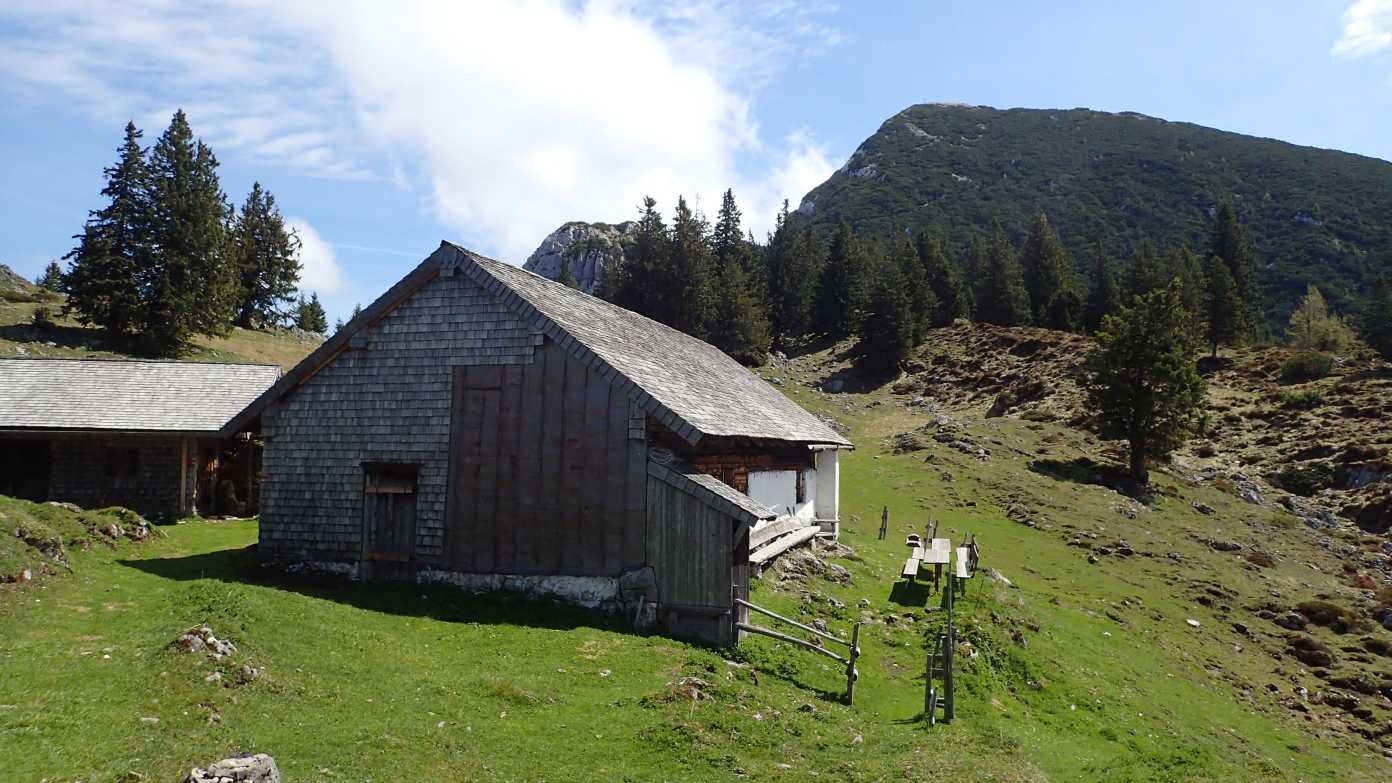 Foto: Manfred Karl / Wandertour / Über die Himmelsleiter auf das Gruberhörndl (1493 m) / Kohleralm und Gamsknogel / 08.05.2024 11:36:13