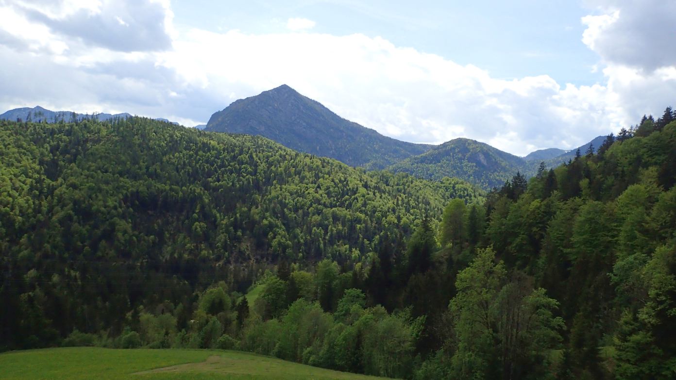 Foto: Manfred Karl / Wandertour / Über die Himmelsleiter auf das Gruberhörndl (1493 m) / Ristfeuchthorn / 08.05.2024 11:33:56