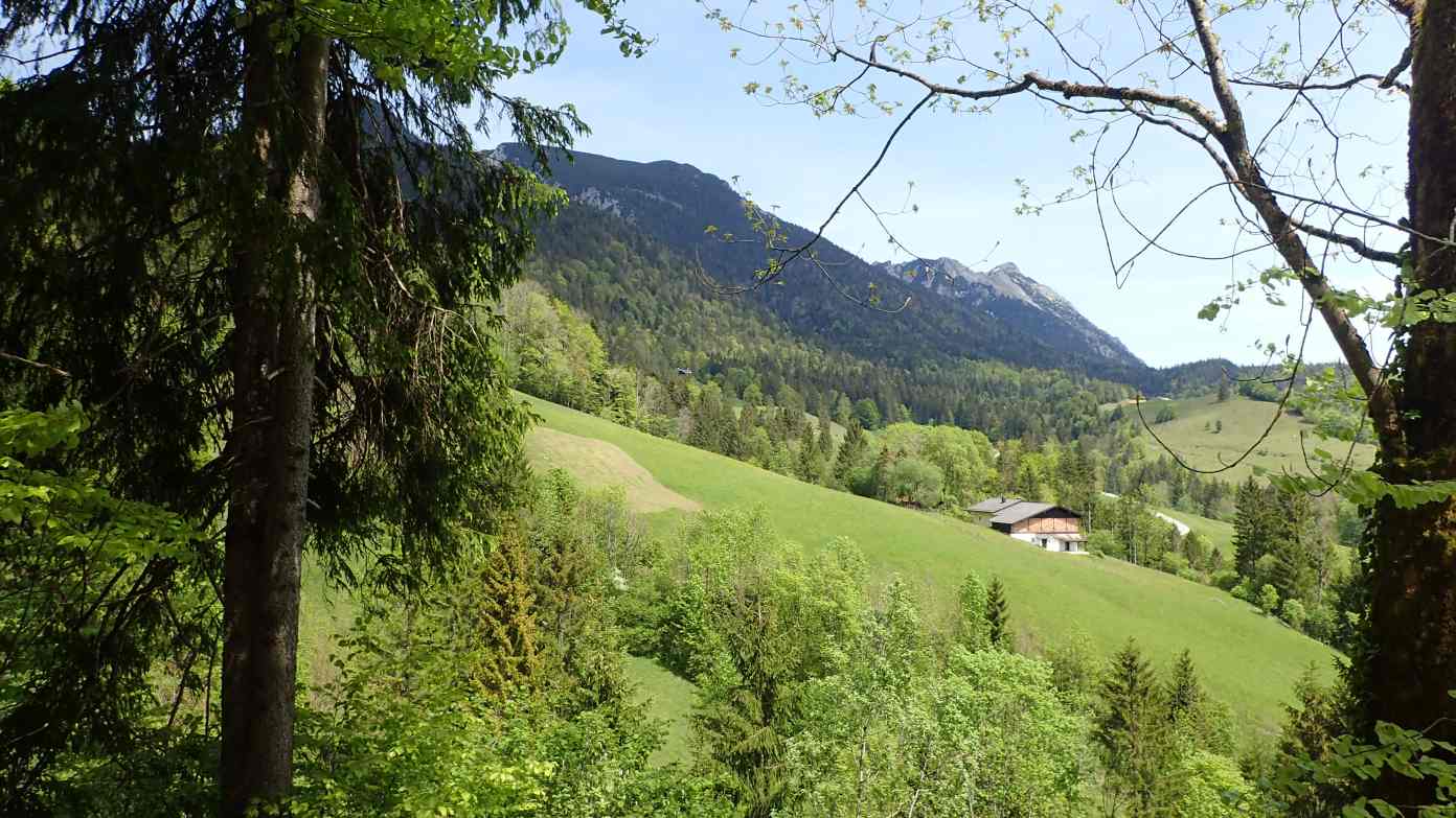 Foto: Manfred Karl / Wandertour / Über die Himmelsleiter auf das Gruberhörndl (1493 m) / Zwiesel- und Hochstaufen / 08.05.2024 11:33:36