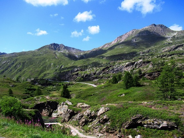 Foto: Andreas Koller / Wandertour / Aussichtsberg Bistinehorn (2503m) / 25.06.2024 02:14:50