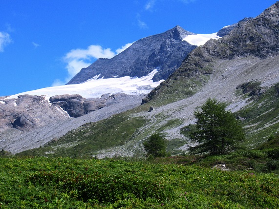 Foto: Andreas Koller / Wandertour / Aussichtsberg Bistinehorn (2503m) / 25.06.2024 02:14:44