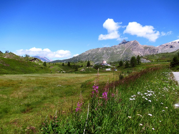 Foto: Andreas Koller / Wandertour / Aussichtsberg Bistinehorn (2503m) / 25.06.2024 02:14:38