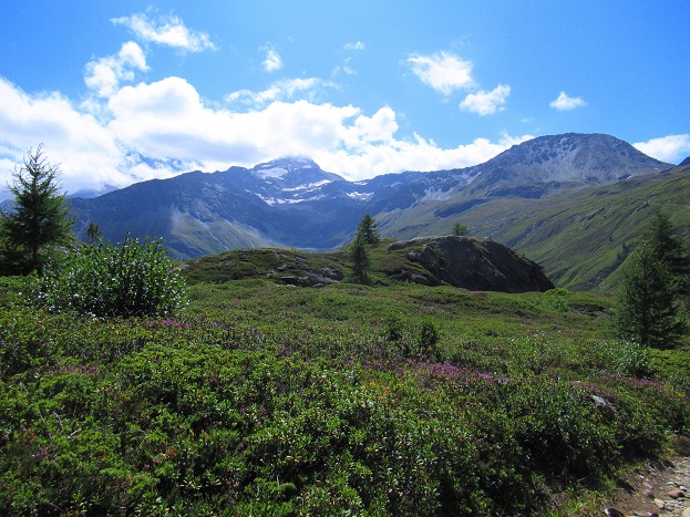 Foto: Andreas Koller / Wandertour / Aussichtsberg Bistinehorn (2503m) / 25.06.2024 02:14:34