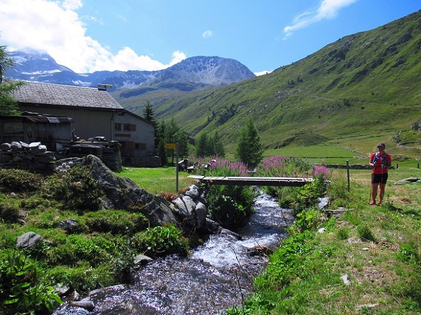Foto: Andreas Koller / Wandertour / Aussichtsberg Bistinehorn (2503m) / 25.06.2024 02:14:23