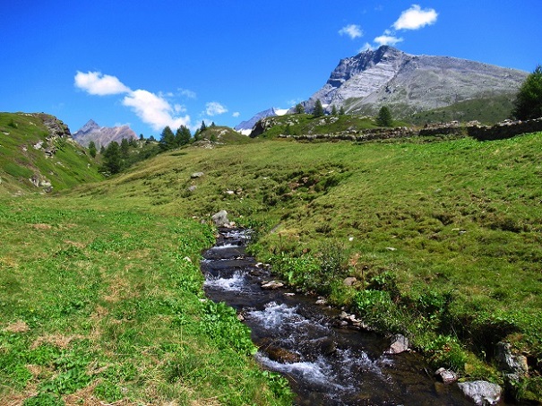 Foto: Andreas Koller / Wandertour / Aussichtsberg Bistinehorn (2503m) / 25.06.2024 02:14:18