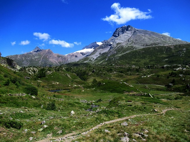 Foto: Andreas Koller / Wandertour / Aussichtsberg Bistinehorn (2503m) / 25.06.2024 02:14:01