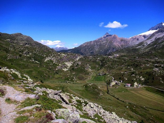 Foto: Andreas Koller / Wandertour / Aussichtsberg Bistinehorn (2503m) / 25.06.2024 02:13:08