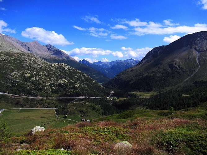 Foto: Andreas Koller / Wandertour / Aussichtsberg Bistinehorn (2503m) / 25.06.2024 02:12:57