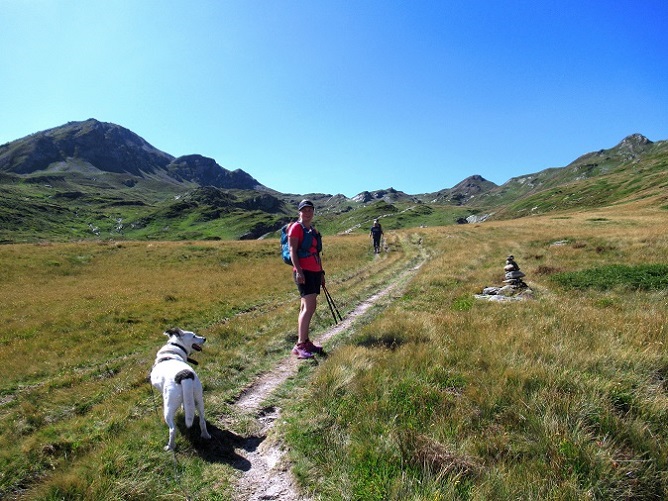 Foto: Andreas Koller / Wandertour / Aussichtsberg Bistinehorn (2503m) / 25.06.2024 02:12:37
