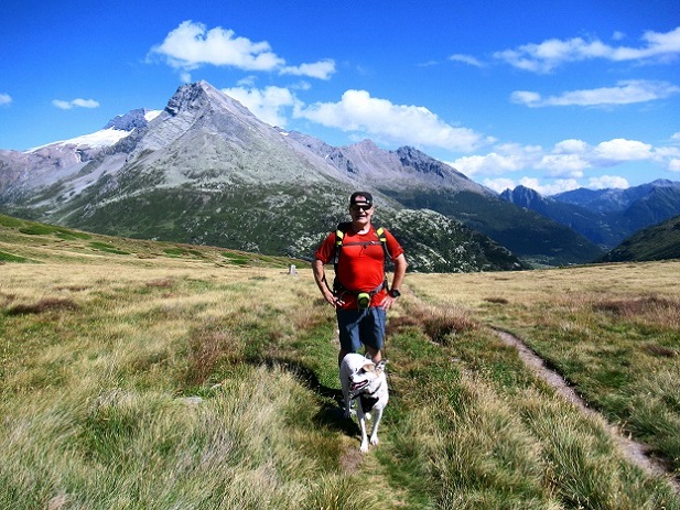 Foto: Andreas Koller / Wandertour / Aussichtsberg Bistinehorn (2503m) / 25.06.2024 02:12:32