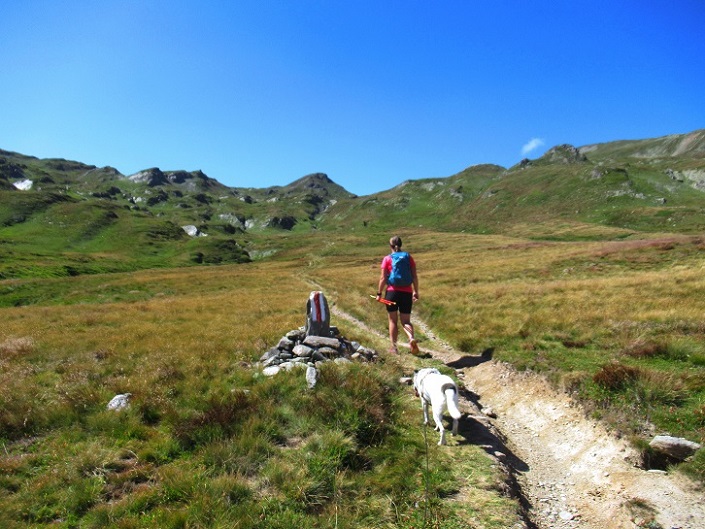 Foto: Andreas Koller / Wandertour / Aussichtsberg Bistinehorn (2503m) / 25.06.2024 02:12:00