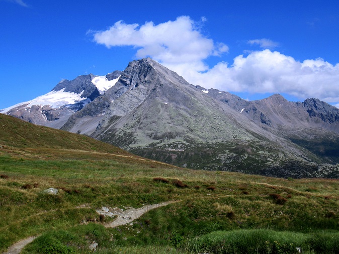 Foto: Andreas Koller / Wandertour / Aussichtsberg Bistinehorn (2503m) / Monte Leone (3553m) / 25.06.2024 02:11:34