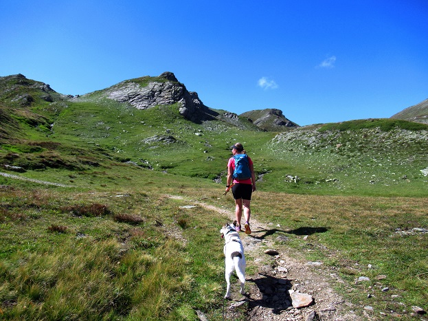 Foto: Andreas Koller / Wandertour / Aussichtsberg Bistinehorn (2503m) / 25.06.2024 02:10:39