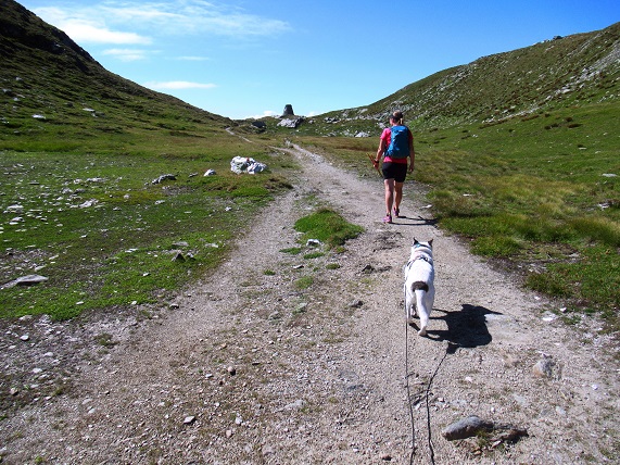Foto: Andreas Koller / Wandertour / Aussichtsberg Bistinehorn (2503m) / Im Gebiet des Bistinepasses / 25.06.2024 02:10:32