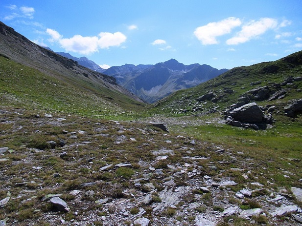 Foto: Andreas Koller / Wandertour / Aussichtsberg Bistinehorn (2503m) / 25.06.2024 02:10:13