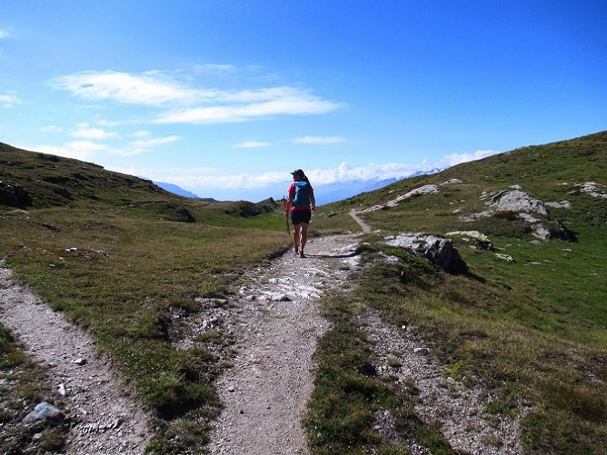 Foto: Andreas Koller / Wandertour / Aussichtsberg Bistinehorn (2503m) / 25.06.2024 02:09:44