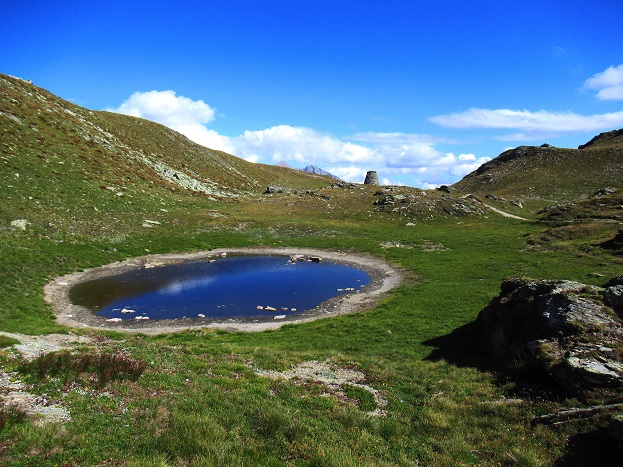 Foto: Andreas Koller / Wandertour / Aussichtsberg Bistinehorn (2503m) / 25.06.2024 02:09:31