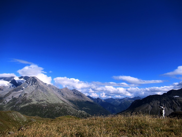Foto: Andreas Koller / Wandertour / Aussichtsberg Bistinehorn (2503m) / 25.06.2024 02:08:39