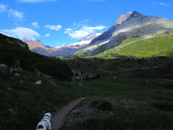 Foto: Andreas Koller / Wandertour / Aussichtsberg Bistinehorn (2503m) / 25.06.2024 02:06:29