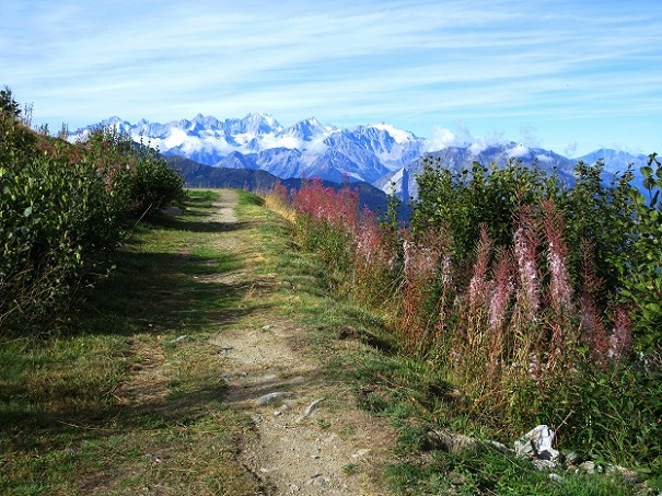 Foto: Andreas Koller / Klettersteigtour / Via ferrata des Gentianes: Route Edelweiss (3041m) / 29.06.2024 00:01:45