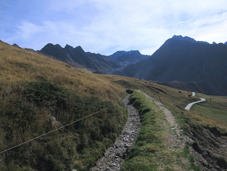 Foto: Andreas Koller / Klettersteigtour / Via ferrata des Gentianes: Route Edelweiss (3041m) / 29.06.2024 00:00:49