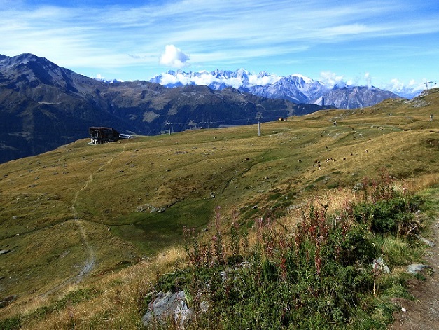 Foto: Andreas Koller / Klettersteigtour / Via ferrata des Gentianes: Route Edelweiss (3041m) / 29.06.2024 00:00:13