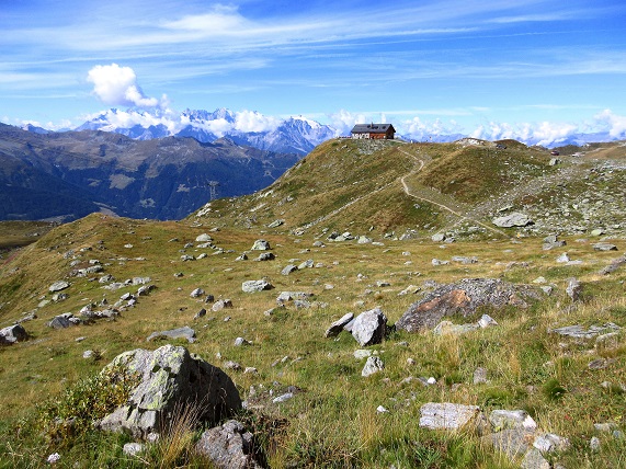 Foto: Andreas Koller / Klettersteigtour / Via ferrata des Gentianes: Route Edelweiss (3041m) / 28.06.2024 23:59:45
