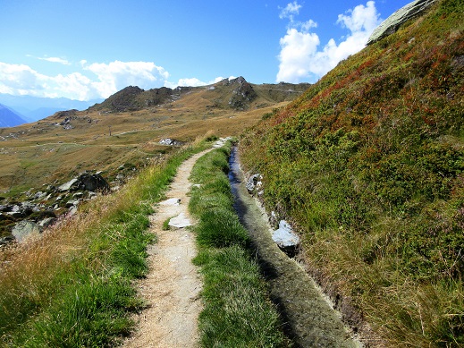 Foto: Andreas Koller / Klettersteigtour / Via ferrata des Gentianes: Route Edelweiss (3041m) / Entlang der Suonen / 28.06.2024 23:50:38