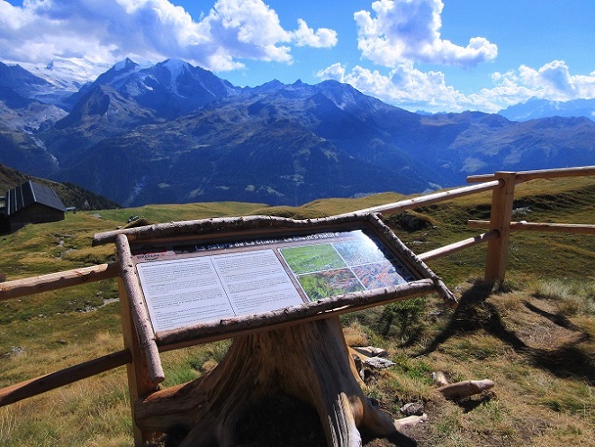 Foto: Andreas Koller / Klettersteigtour / Via ferrata des Gentianes: Route Edelweiss (3041m) / 28.06.2024 23:49:58