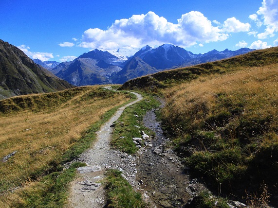 Foto: Andreas Koller / Klettersteigtour / Via ferrata des Gentianes: Route Edelweiss (3041m) / 28.06.2024 23:49:50