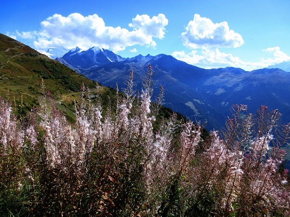 Foto: Andreas Koller / Klettersteigtour / Via ferrata des Gentianes: Route Edelweiss (3041m) / 28.06.2024 23:49:09