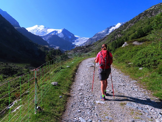 Foto: Andreas Koller / Wandertour / Schöllihorn (3500m) / 06.09.2024 00:36:14