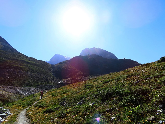 Foto: Andreas Koller / Wandertour / Schöllihorn (3500m) / 06.09.2024 00:35:41