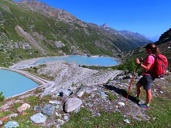 Foto: Andreas Koller / Wandertour / Schöllihorn (3500m) / 06.09.2024 00:35:20