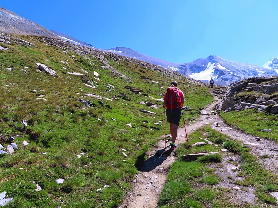 Foto: Andreas Koller / Wandertour / Schöllihorn (3500m) / 06.09.2024 00:33:07