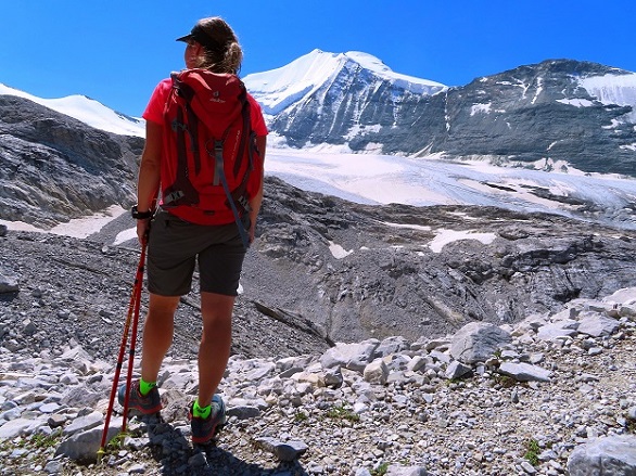 Foto: Andreas Koller / Wandertour / Schöllihorn (3500m) / 06.09.2024 00:31:19