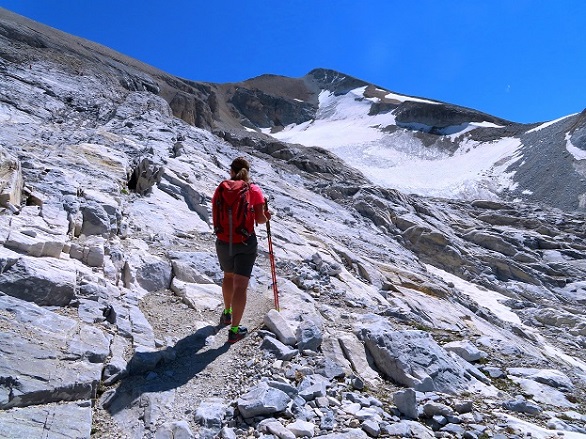 Foto: Andreas Koller / Wandertour / Schöllihorn (3500m) / Schöllihorn / 06.09.2024 00:31:12
