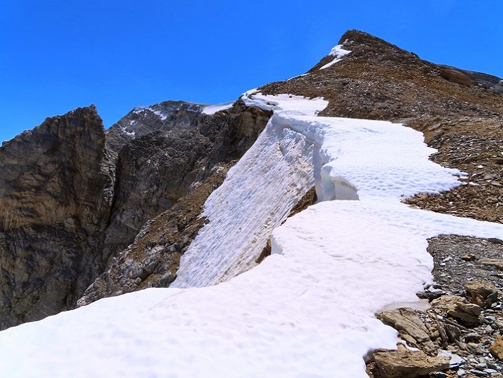 Foto: Andreas Koller / Wandertour / Schöllihorn (3500m) / Vom Schöllijoch zum Schöllihorn / 06.09.2024 00:27:39